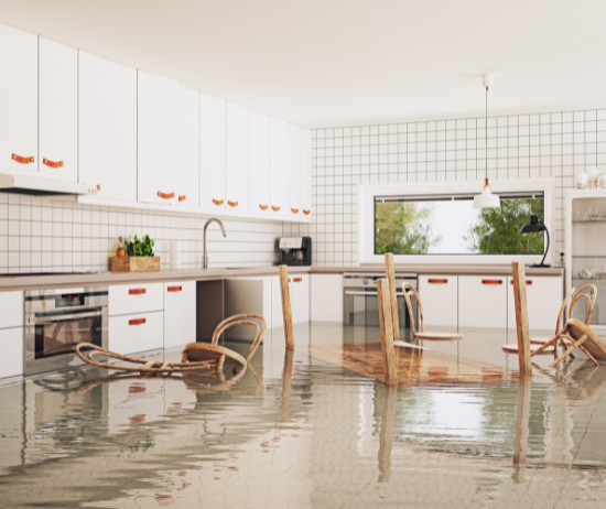 flooded house graphic